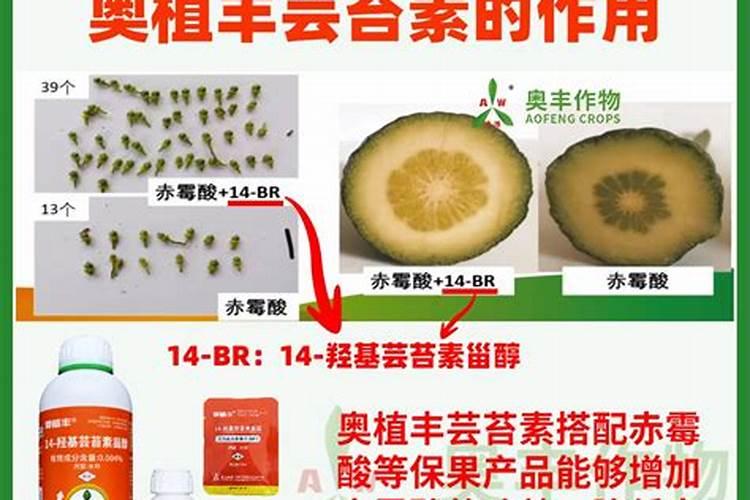 芸苔素能和保果剂2.4d混合使用吗？