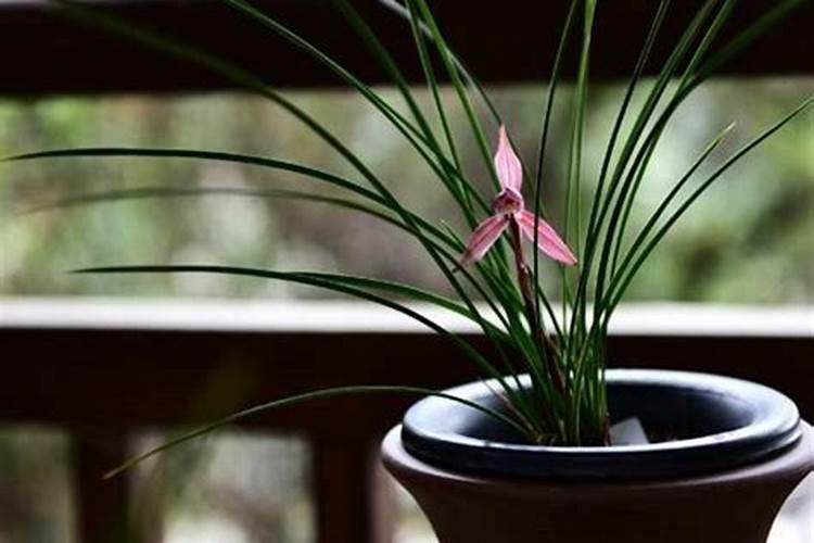 农村的高钾肥是什么肥料