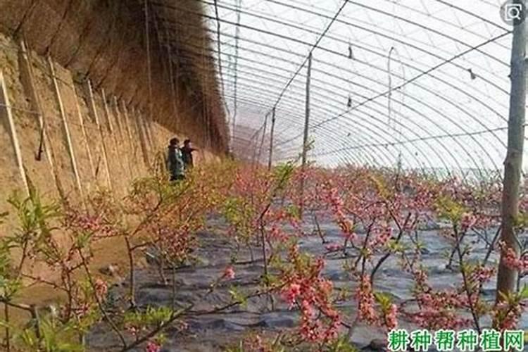 电热水器什么品牌好？