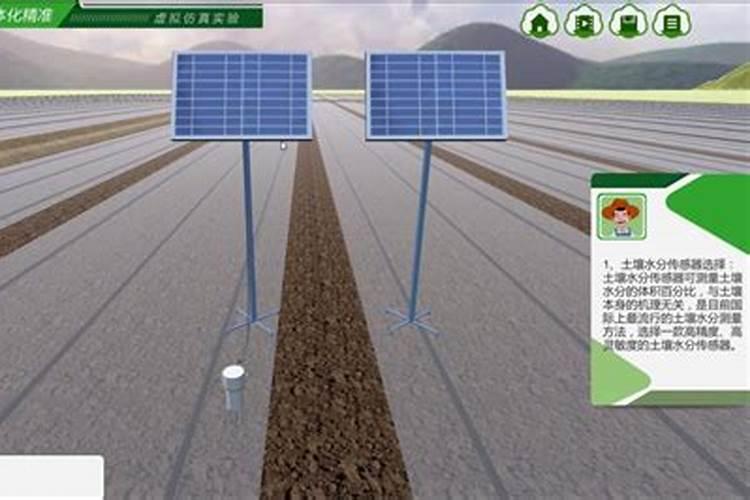 蓝妖:花叶络石的养殖方法和注意事项,做好这6点,妥妥的开花