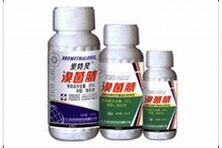 请教各位老师:辣椒表面出现黑色是什么问题？用什么药？