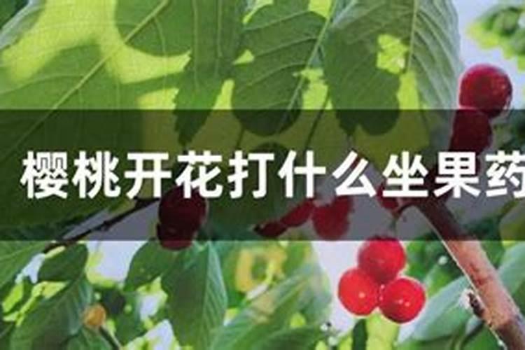 樱桃结果后用什么肥料合适？