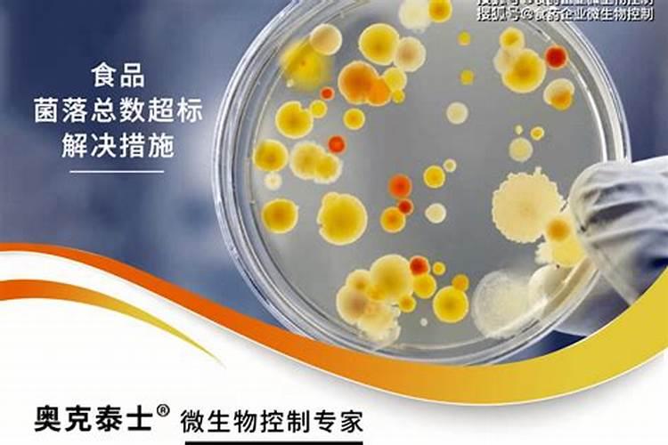 烂菜叶如何发酵做肥料