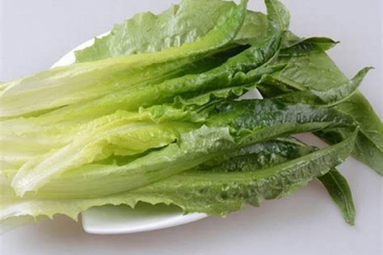 种植油麦菜方法