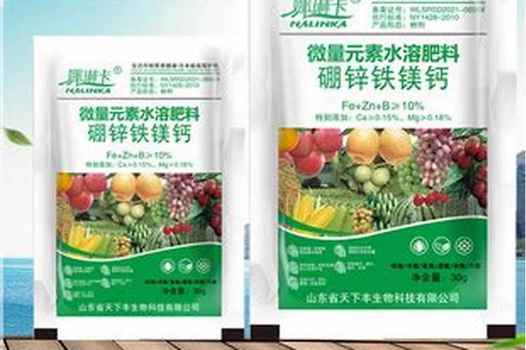 柑橘膨果期用什么肥料好？膨果期追肥用什么肥？柑橘专用叶面肥!