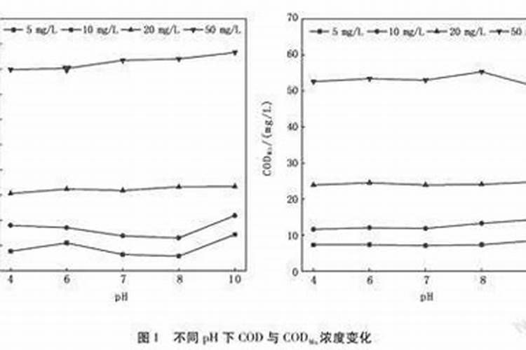 洋姜施肥用什么肥料