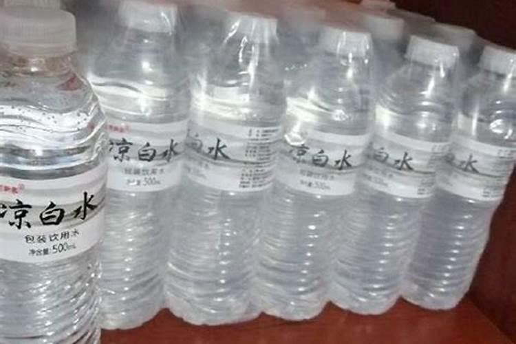 水上种菜水下养鱼技术