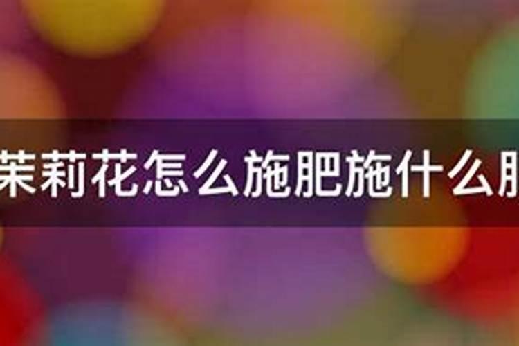 茉莉浇什么肥料合适