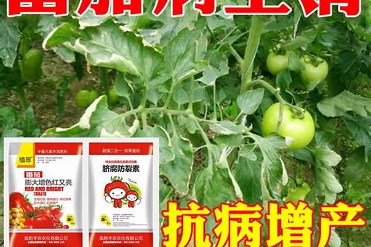 【科普】有机硫类杀菌剂介绍