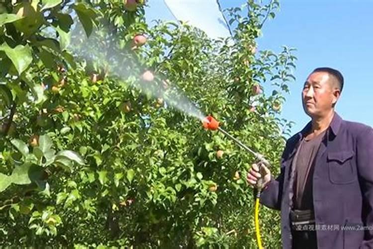 水稻肥多少钱一吨