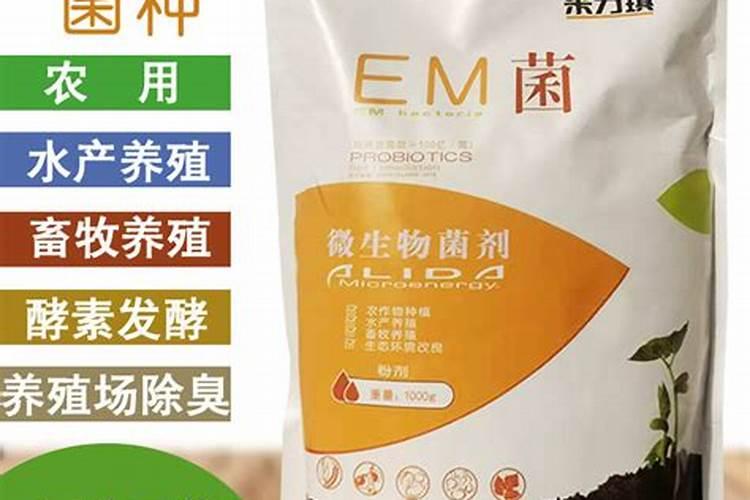 玉米除草剂,在什么时候打药最合适呢？只能在三至五叶期间打吗？