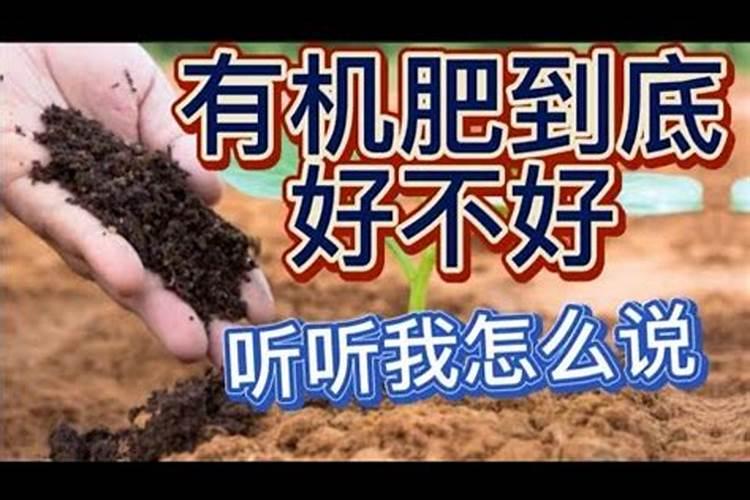 蔬菜过度施用有机肥有什么危害？