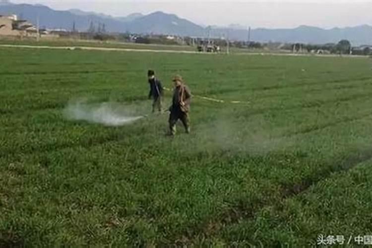 怎样合理使用硫酸钾？