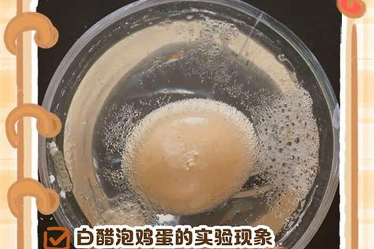 白醋种菜“增产秘方”教给你,老辈人常用