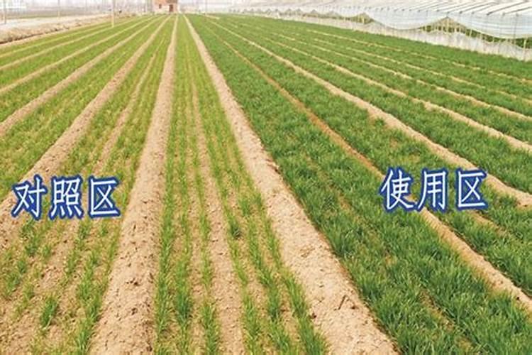 尿素属于什么类型的肥料