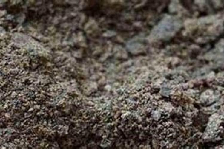 养殖绿萝和吊兰施什么肥