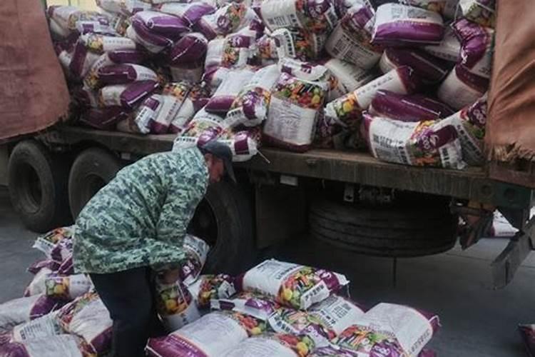 澳洲杉浇什么水好