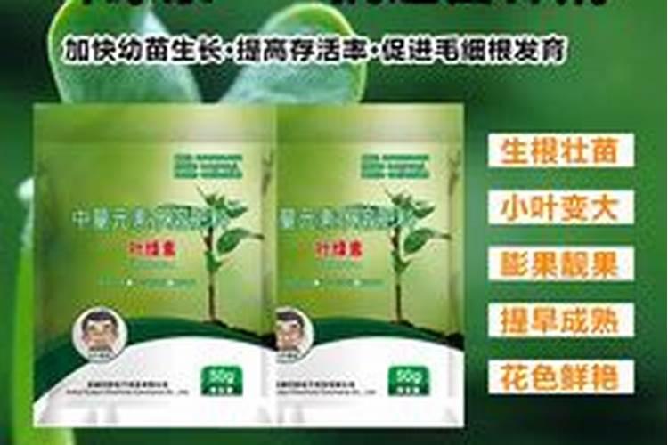 七月份苹果最好施肥方法是什么