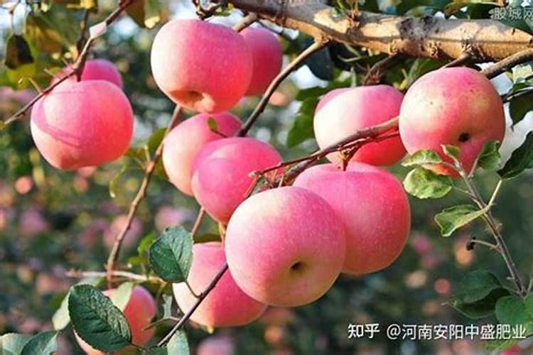 江湖菜特色之泡椒鱼蛋