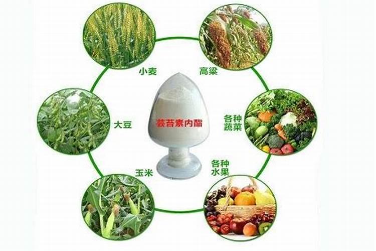 油菜后期追什么肥好？需要注意什么问题呢？