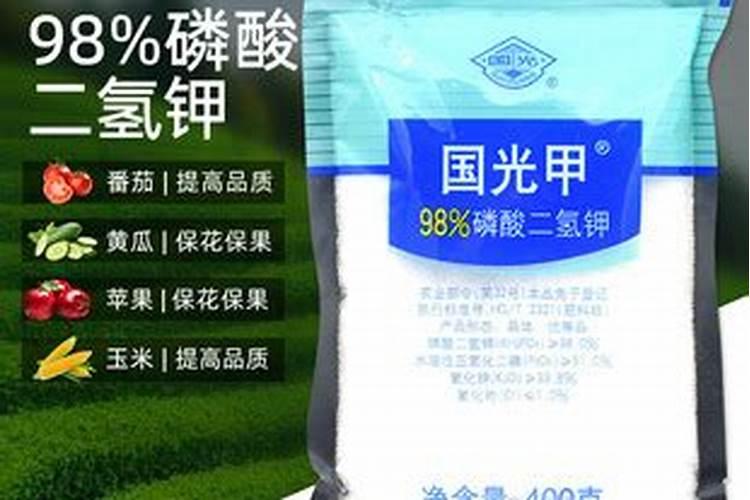种瓜果怎么使用磷酸二氢钾 有什么使用的技巧