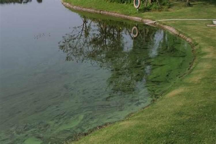 苹果树什么时候施钾肥好