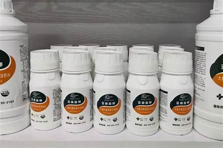 蜜柚树开花期间掉老叶子正常吗？