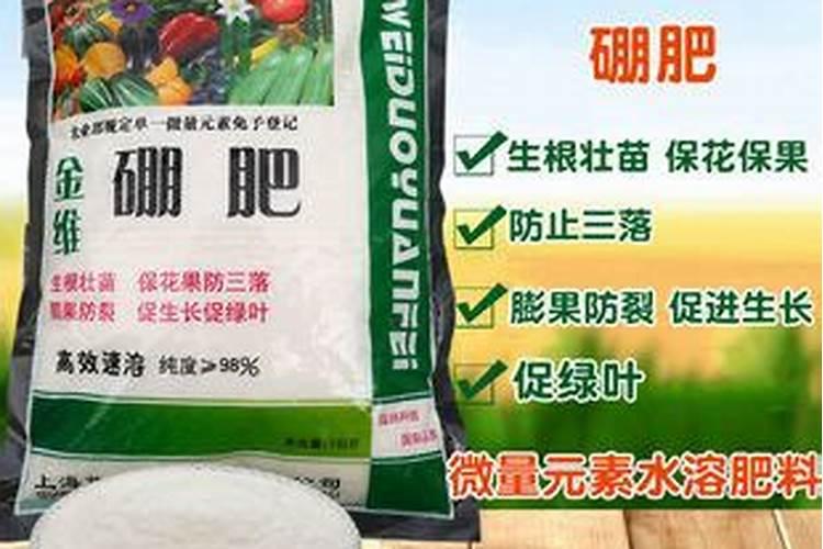 果树促花使用什么叶面肥？果树叶面肥喷施需要注意事项？