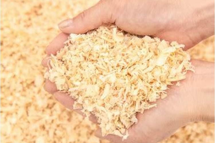 锯木粉制作有机肥 锯木粉如何制作有机肥