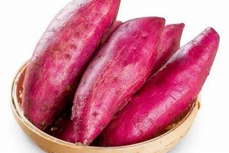 君子兰叶面肥怎么用