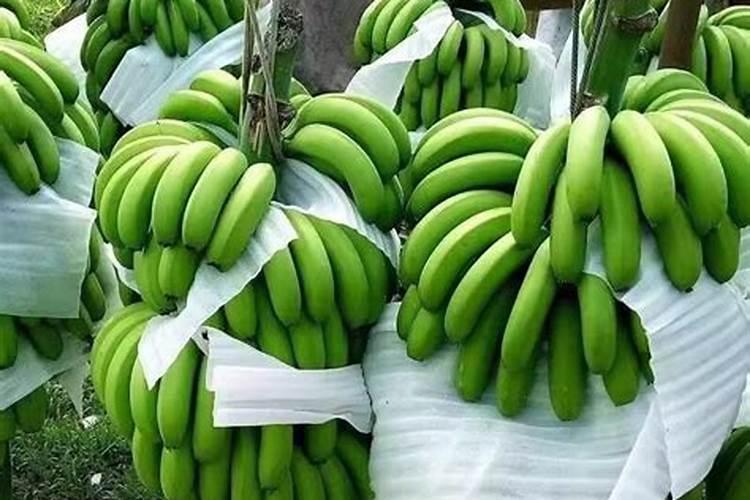 美国二铵属于什么肥