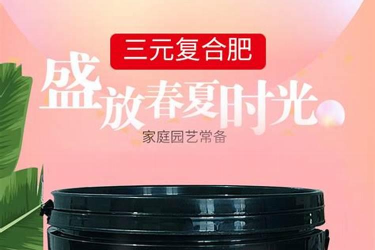 彩叶草蔫了还能活么