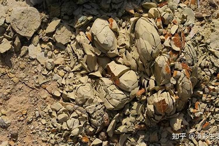 山西有哪些化肥品牌公司