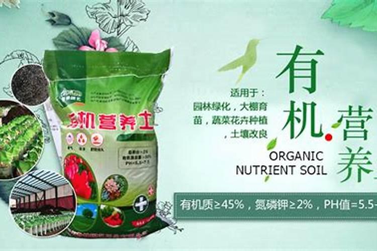 红薯苗有根的要剪短吗