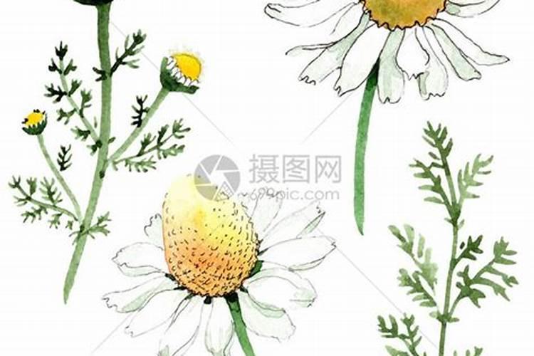 解土壤药害的最好药