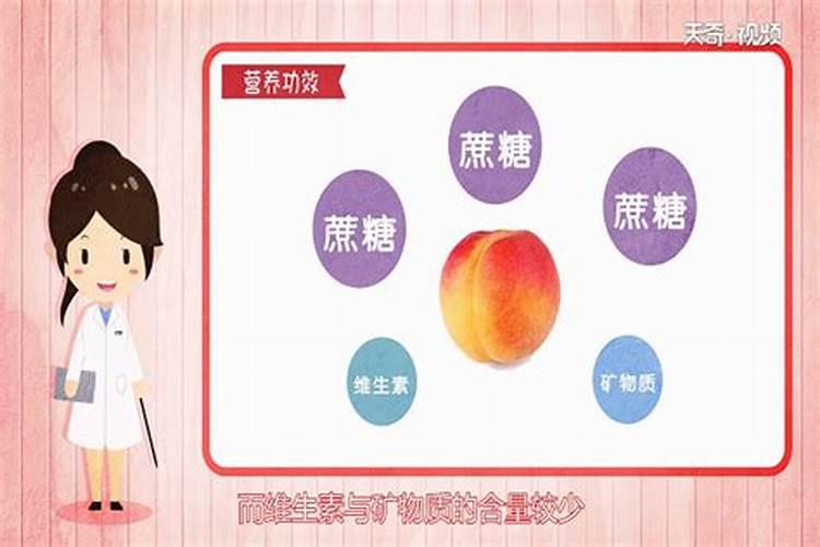 枇杷树什么时候开花？