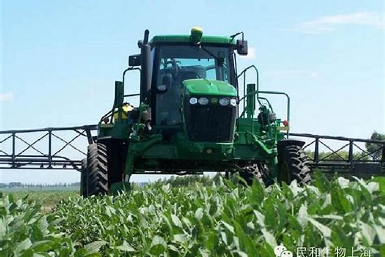 果树叶片,边缘焦枯,怎么回事啊？