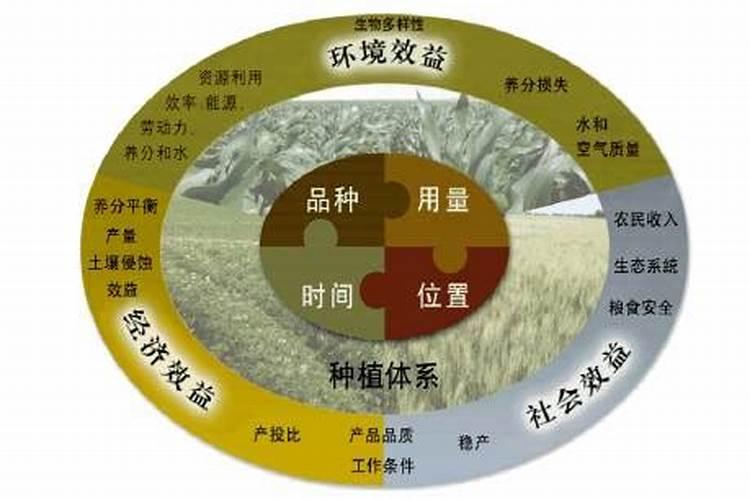 14羟基芸苔素内酯和尿素怎么兑水