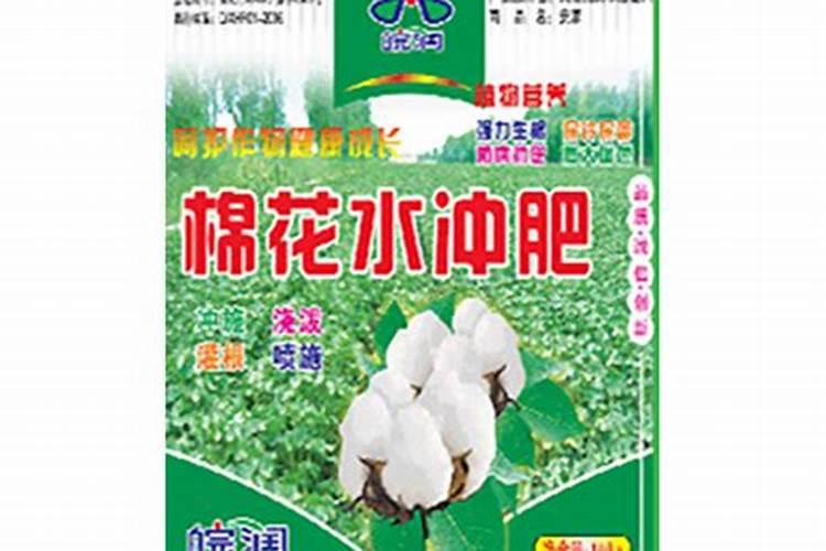 怎样让西瓜快速膨大