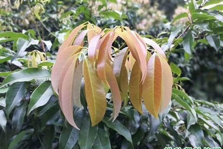 喝弱碱性水对身体好吗？