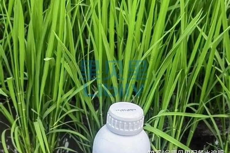 浸泡过焦亚硝酸钠的胡萝卜削了皮以后安全吗