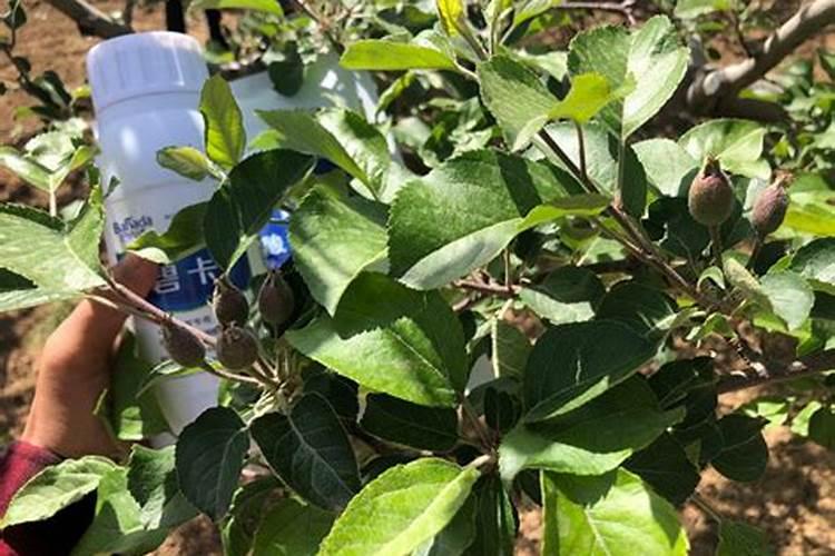 杀虫单最佳复配药