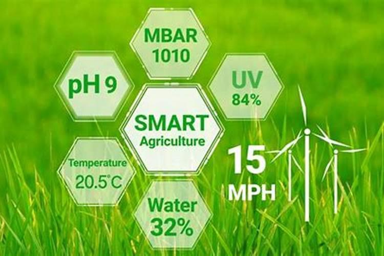 山区土豆种植方法