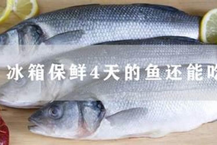 鱼饲料放了一年之久,还能不能给鱼吃呢