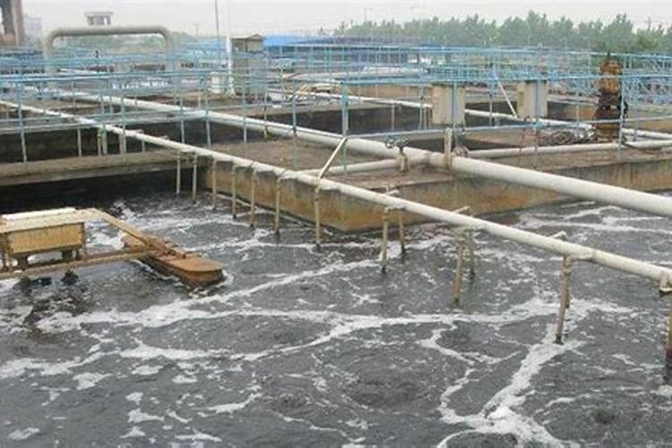 君子兰可以硫酸亚铁和有机肥一起施吗