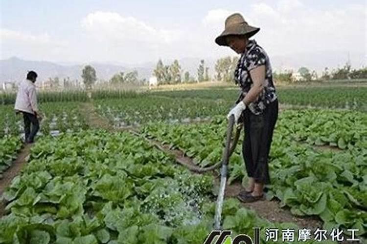 怎么区分氮,磷,钾三种肥料
