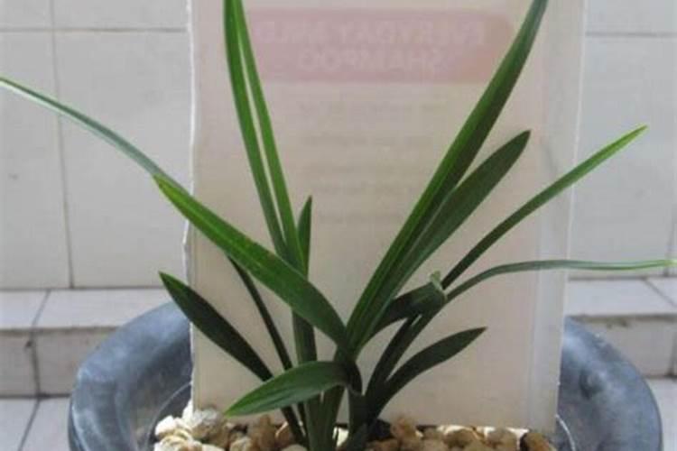 玉米施追肥用硫酸锌铵好吗？