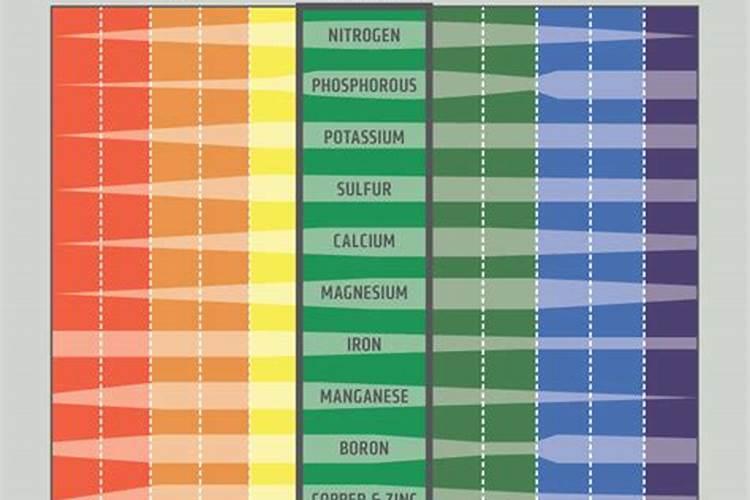 如何调整土壤的酸碱度