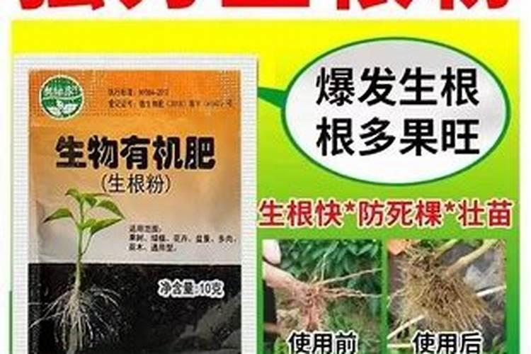 生根粉怎么用效果最佳