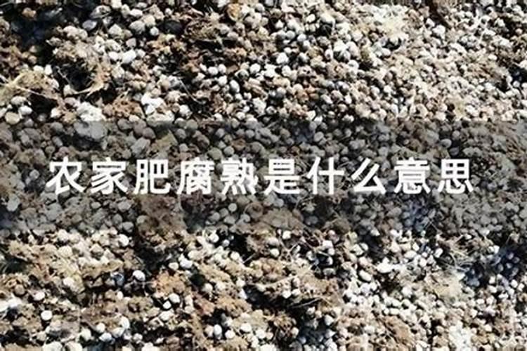 农家肥怎么发酵腐熟